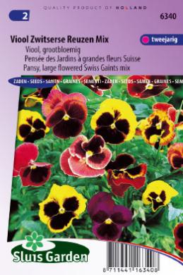 Veilchen Schweizer Riesen (Viola wittrockiana) 160 Samen SL